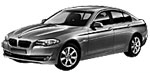 BMW F10 U160E Fault Code